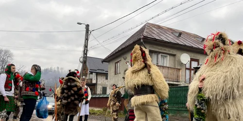 Brondosi maramures foto Larisa Matei 