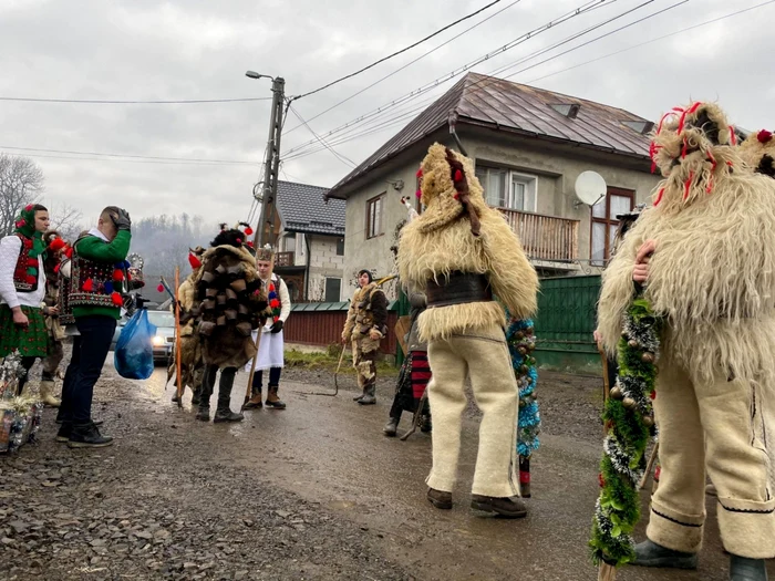 Brondosi maramures foto Larisa Matei 