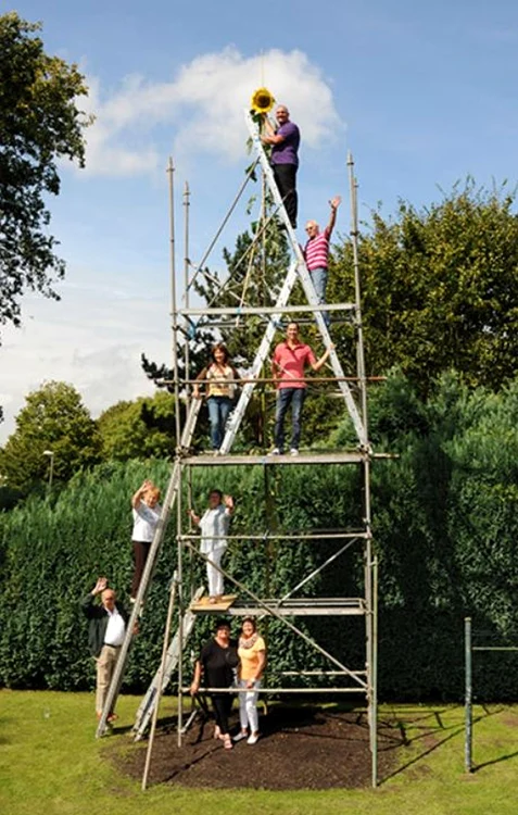 Floarea-soarelui record are 10,9 m înălțime (Foto: Guinness World Records)