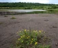 ruinele minei teliuc si halda de steril foto daniel Guta adevarul