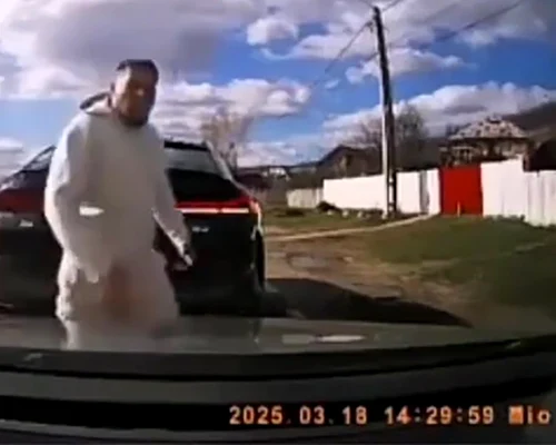 mosailov FOTO Captură video