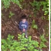 Băiețelul dispărut într-o pădure din Sibiu, găsit după peste 40 de ore de căutări
