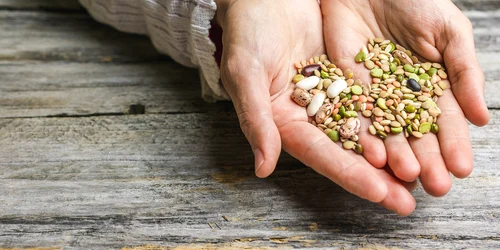 armurariu biosano jpg