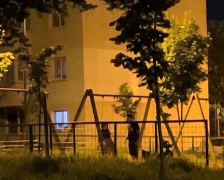 Momentul cumplit în care un bărbat beat își bate soția într-un loc de joacă din Braşov, în timp ce copilul se dă în leagăn: „Viaţa în România 2025”