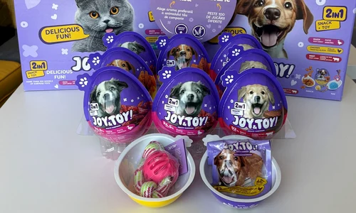 Joy&Toy (1) jpg