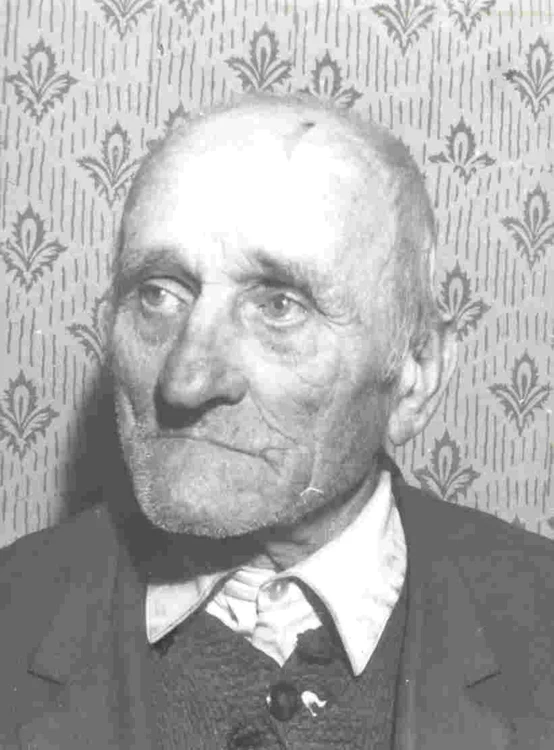 petre borzescu