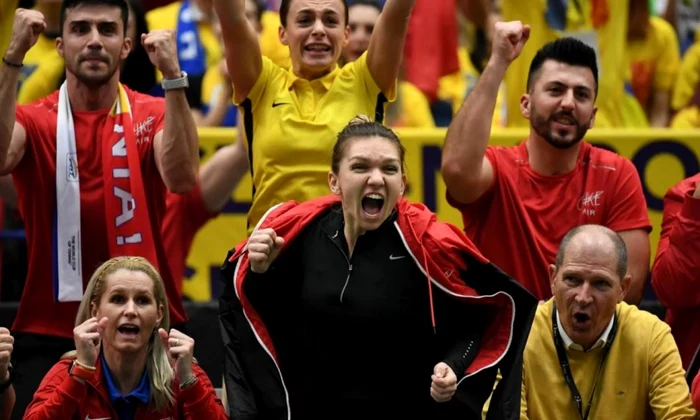 Halep (centru), susţinând echipa României din tribune