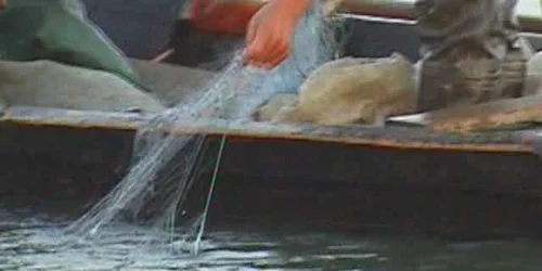 Braconierii au fost prinşi în flagrant