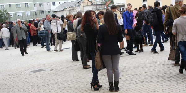 liceubistrita 11