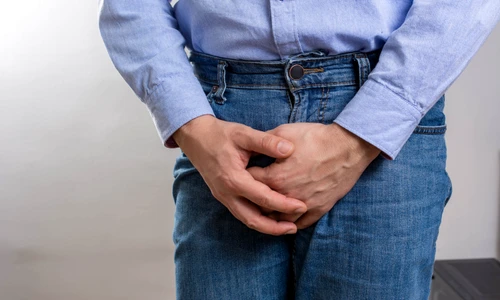 shutterstock 1893924175 jpg