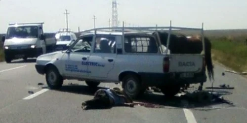 Bacău: Accident cu o victimă pe E 85