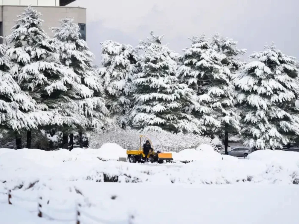 Ninsori devastatoare în Coreea de Sud/FOTO: X @alexzhung