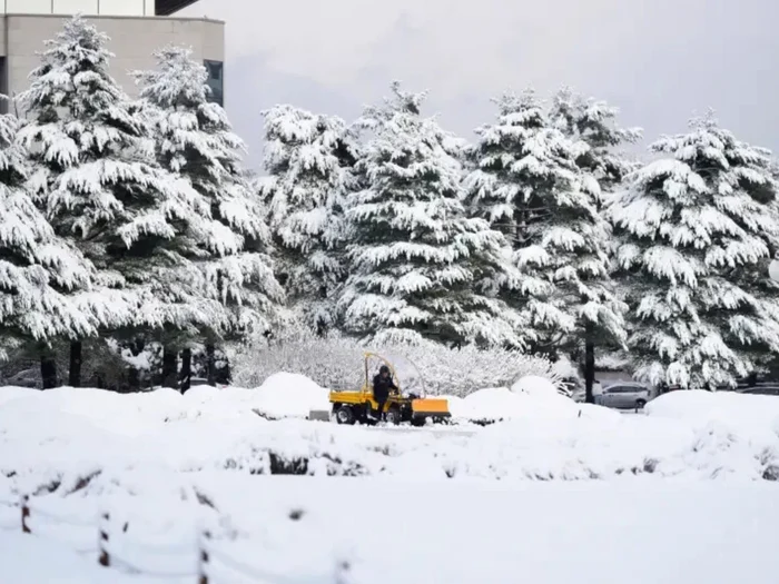 Ninsori devastatoare în Coreea de Sud/FOTO: X @alexzhung