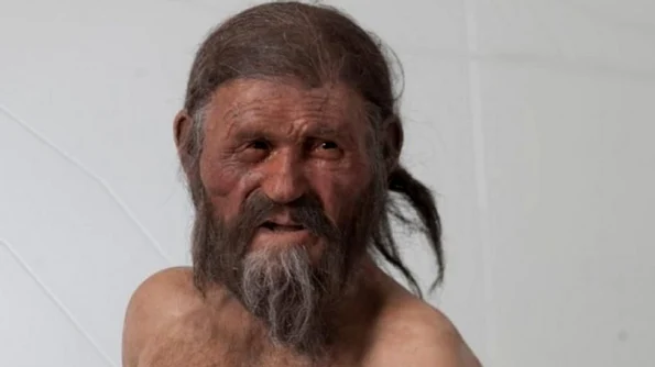 Ce a mâncat Ötzi, Omul Ghețurilor, la ultima sa masă jpeg