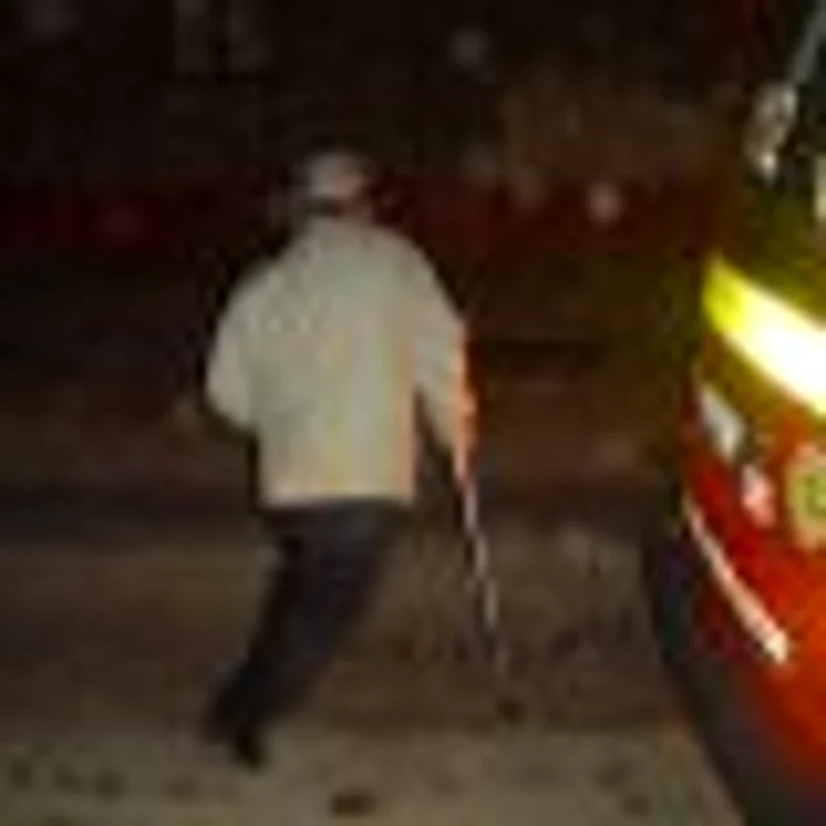 Turmentatul a plecat în căutarea soluţiei pentru gripa porcină