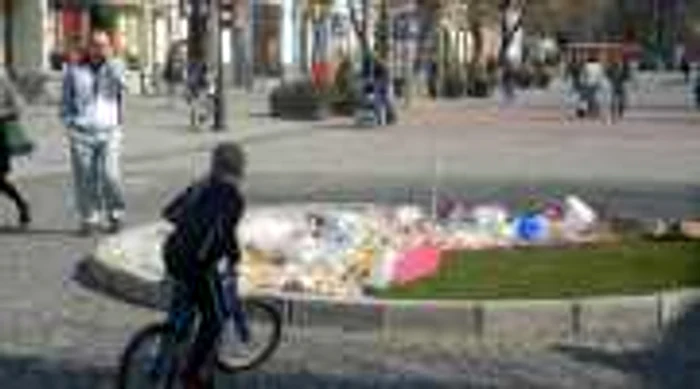 Trecătorii de pe pietonal au privit curioşi rondourile cu deşeuri