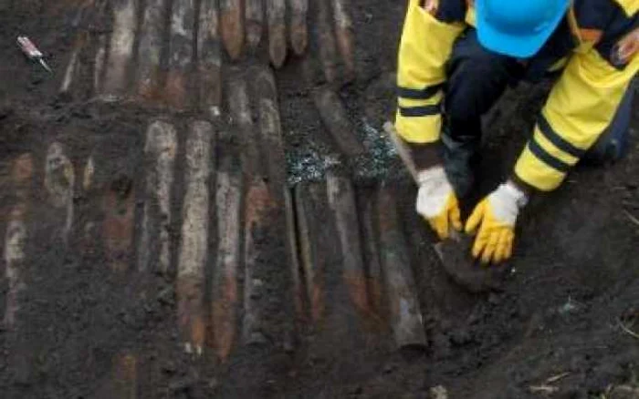 Botoşani: Obuz activ descoperit în pădure