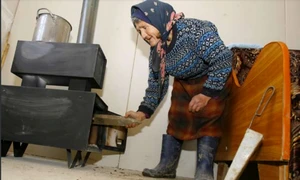 batranica soba lemne foc Foto Adevărul