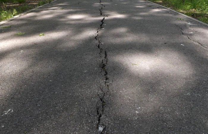 pădurea crihala din turnu severin FOTO Alexandra Georgescu
