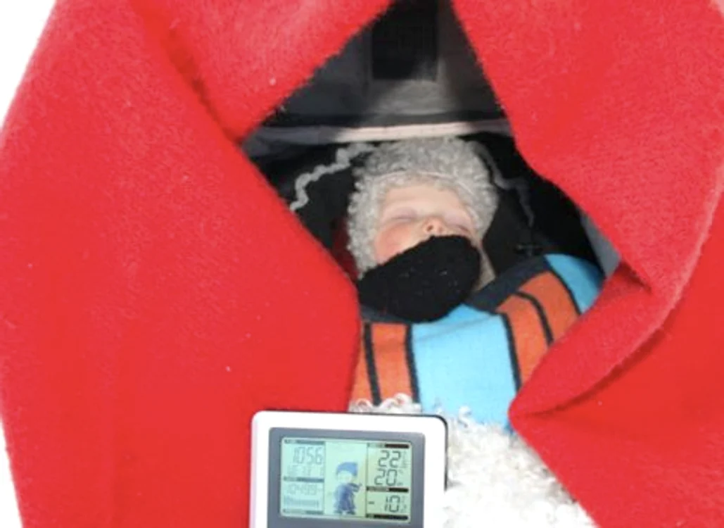 Pruncii danezi sunt adesea lăsaţi să doarmă afară chiar şi la temperaturi de minus 10 grade