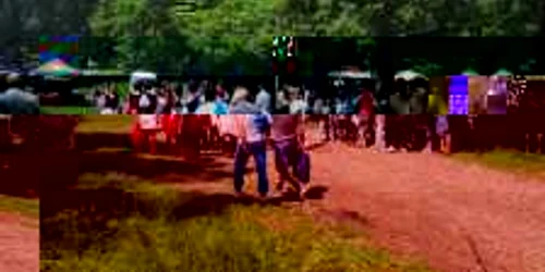 padurea schulerwald bun