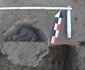 descoperire arheologica Suici foto Muzeul National de Istorie a Romaniei si Muzeul Judetean Valcea (1 (5) JPG