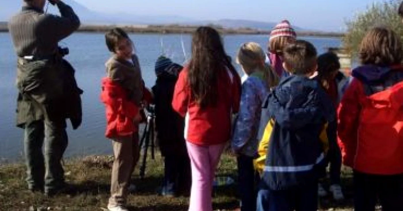 Braşov: Birdwatch la Dumbrăviţa