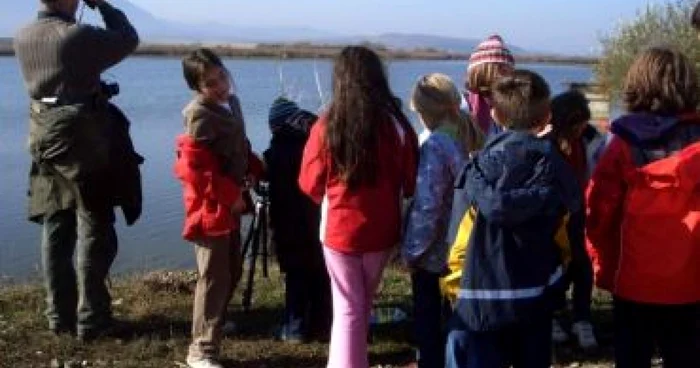 Braşov: Birdwatch la Dumbrăviţa