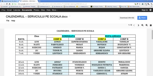 Oricine poate accesa documentul 