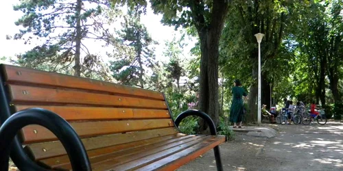 Pe această bancă din parc stătea femeia în momentul în care a fost înjunghiată. Foto Dana Mihai