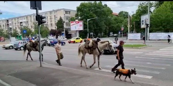 turisti craiova