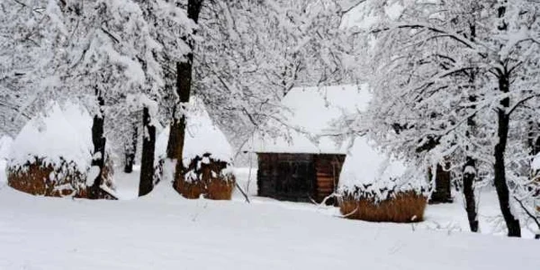 maramures