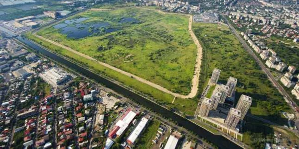 delta vacaresti foto 