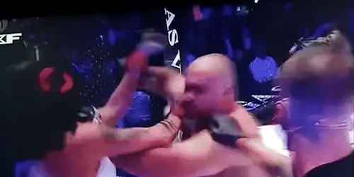 Perversu bataie gif