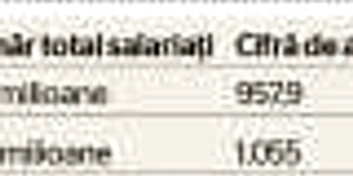 activitatea firmelor 2013