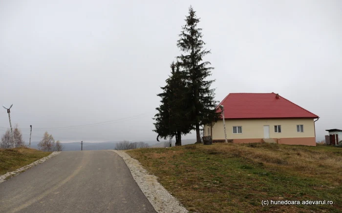 Poiana Răchiţelii. ADEVĂRUL.