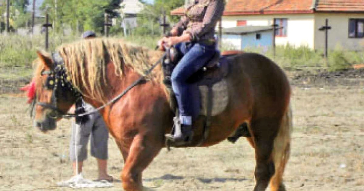 Perechea potrivită  şi viaţa grea de la ţară