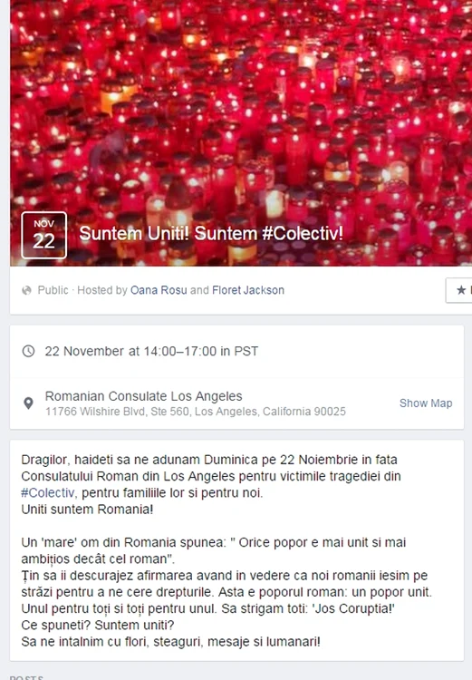 Românii din SUA s-au mobilizat pe Facebook