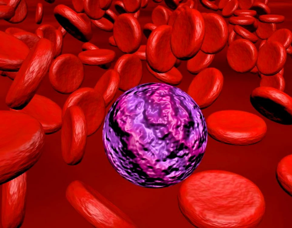 Soia modificată genetic creşte nivelul de estrogen din organism.