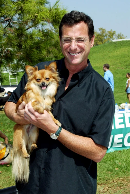 bob saget