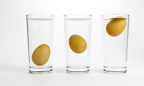 shutterstock 2188259449 jpg