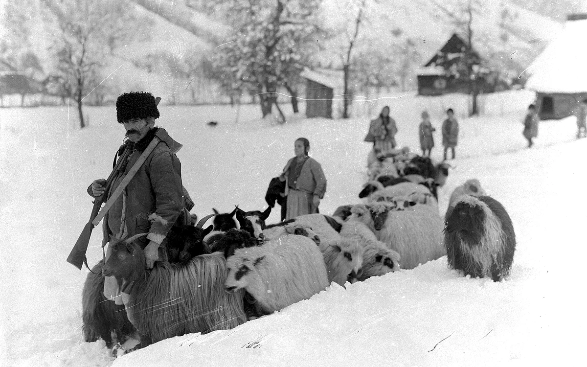 Iarna în 1928, Ținutul Pădurenilor. Foto: D. Galloway. Muzeul Etnografic al Transilvaniei.