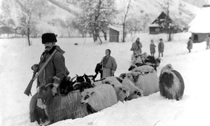 Iarna în Ținutul Pădurenilor, anul 1928 Foto Denis Galloway Muzeul etnografic al Transilvaniei (2) jpg