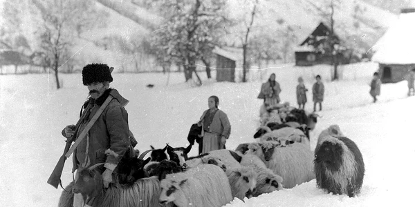 Iarna în Ținutul Pădurenilor, anul 1928  Foto Denis Galloway  Muzeul etnografic al Transilvaniei (2) jpg