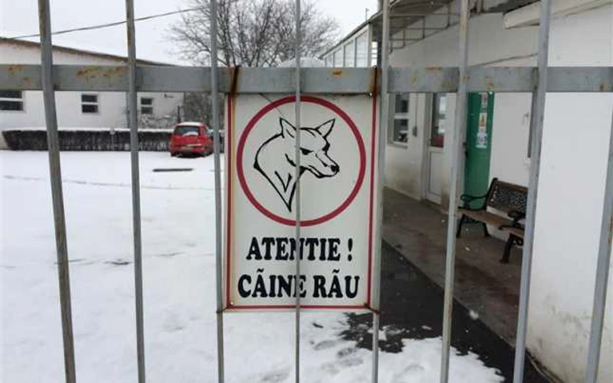 Un copil a fost la un pas să îşi piardă viaţa, după ce a fost atacat de un câine.