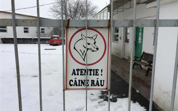 Intrarea în fabrica unde lucra clujeanul muşcat de câini. FOTO: ziuadecj.realitatea.net