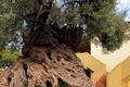 maslin creta 4000 ani jpg