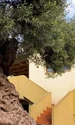 maslin creta 4000 ani jpg