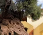 maslin creta 4000 ani jpg