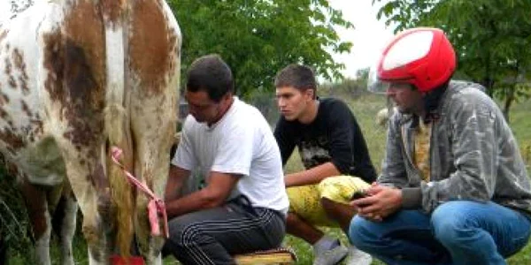Bistriţa: Dezbrăcatu’ urmărit de bistriţenii